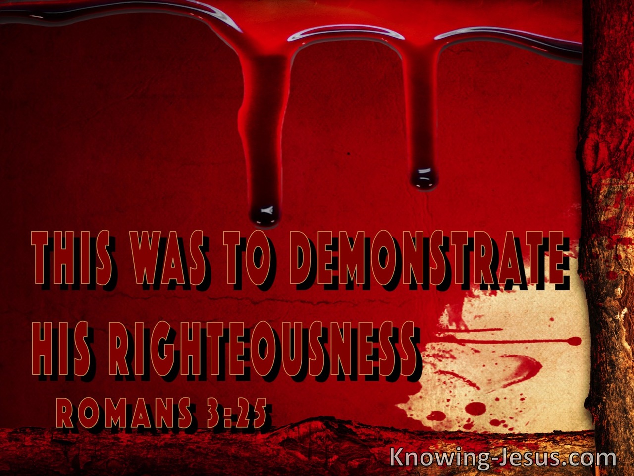 Romans 3:25:Propitiation For Our Sins To Demonstrate His Righteousness (maroon)